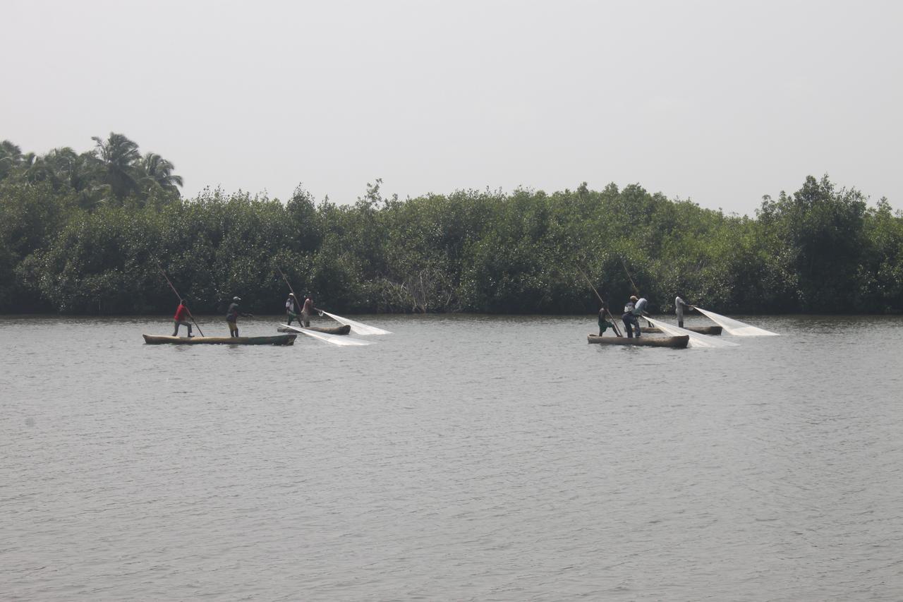 Natura Luxury Lodge Ouidah Bagian luar foto